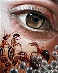 Through the eye of love, 2023, Oil on Linen, 80 x 100 cm.