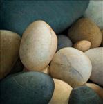 หิน, Pebbles, 2010, Oil on canvas, 130x130cm