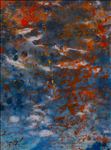 Where Nature Meets Nature 1, 2026, Acrylic on canvas , 80 x 60 cm Where Nature Meets Nature 1, 2026, Acrylic on canvas , 80 x 60 cm